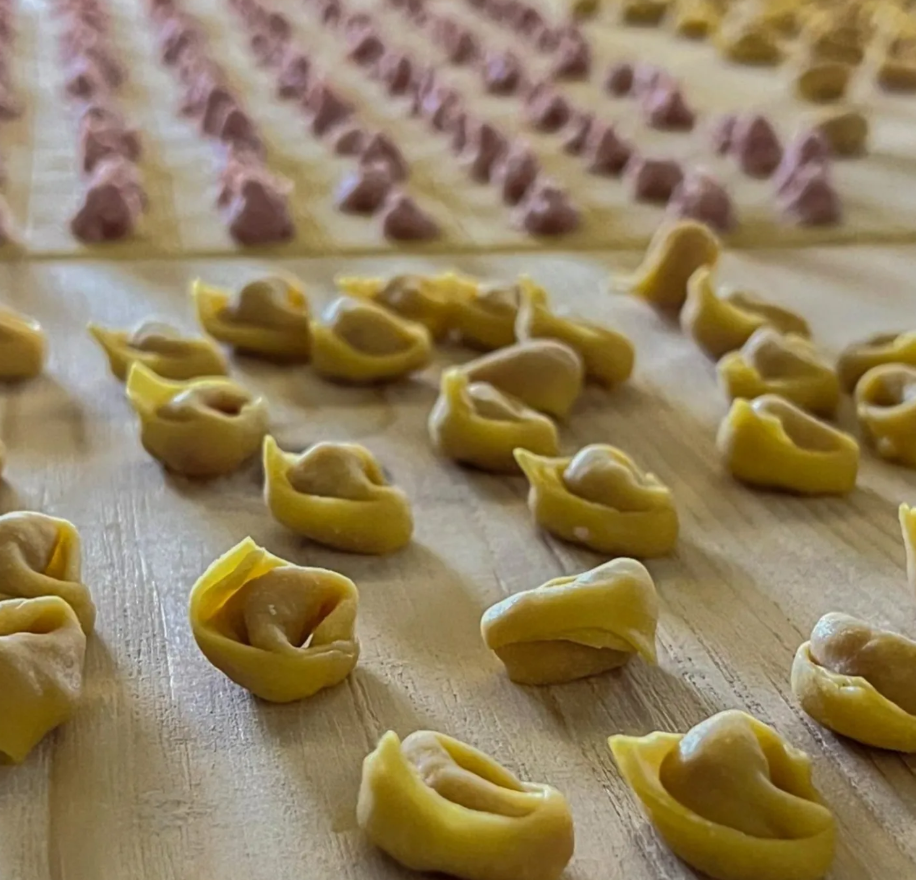 Handmade tortellini — Flavors Lab Inc.